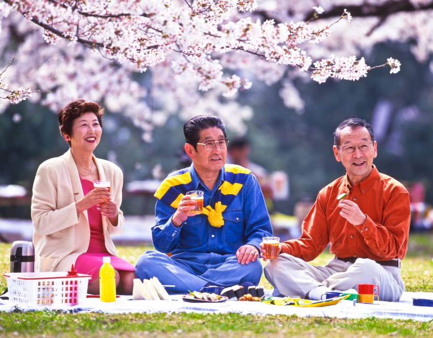 Gợi ý những món ăn nhẹ lành mạnh cho buổi ngắm hoa anh đào